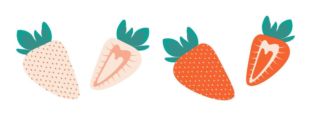 White and Red strawberry Whole and half. Summertime healthy berry. Thematic or menu cards elements. Isolated illustration Cards, icons, stickers, leaflets, labels, price tag or web promo banner