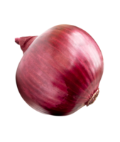 A bulb of big red or purple onion isolated with clipping path in file format png