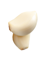Two cloves of white peeled garlic isolated with clipping path in file format png