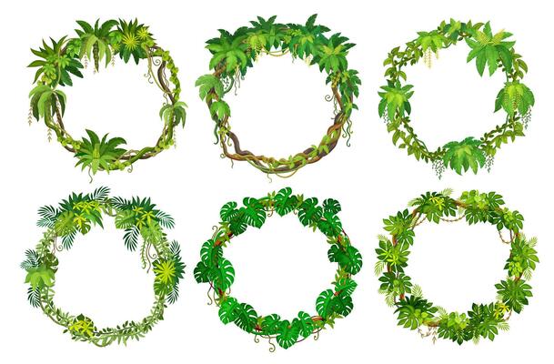 Round frames with tropical jungle forest vines