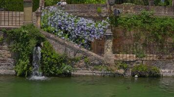 Waterfall cascading by a floral garden in a serene setting video