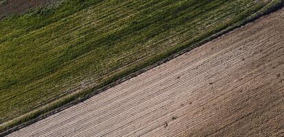 ...landscape, view, nature, sunny, from abov photo