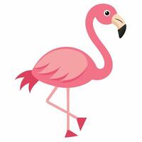 Cute cartoon flamingo isolated on white background. Side view. vector