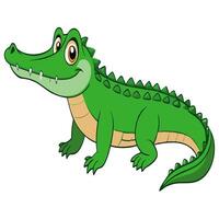 Cute cartoon crocodile isolated on white background. Front view. vector