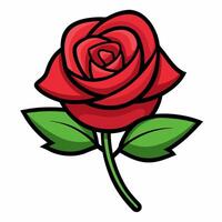 Red rose isolated on white background. Front view. vector