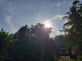 Sun Shining Through Trees in a Blue Sky with White Clouds photo