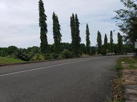 Empty Asphalt Road Winding Through Lush Greenery photo