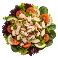 Chicken Salad Top View png