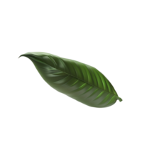 Floating Leaf Concept Model png