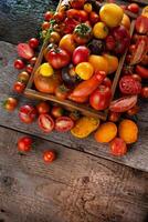 Summer harvest of tomatoes of different varieties and colors on a wooden table top view. Multi-colored vegetables - tomato. photo