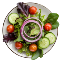 A top view of a white plate filled with a variety of fresh mixed greens, cherry tomatoes, cucumber slices, and red onion rings, drizzled with balsamic vinaigrette isolated on a transparent background png