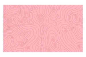 Topographic Simple Landscape Map with Lines, Outline Terrain. Banner with geographic mountain relief. Wavy abstract contour background with cartography texture vector