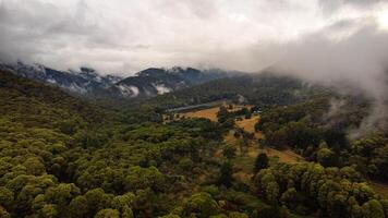 Clouds forming over trees in Wondilligong photo