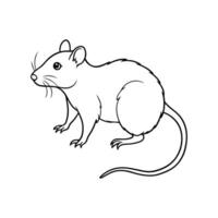 A rat is shown in a line drawing vector