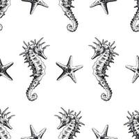 Seahorse and starfish on a white background, seamless pattern, marine. Hand drawn graphic illustration in black and white color line art. Seamless pattern on marine theme vector