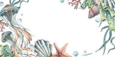 Jellyfish, corals, sea sponges, algae, shells, starfish and bubbles. Hand drawn watercolor illustration on the theme of sea animals and the underwater world. Horizontal rectangular frame, template vector
