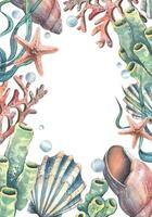 Corals, sea sponges, seaweed, shells, starfish and bubbles. Hand drawn watercolor illustration on the theme of sea animals and the underwater world. Vertical rectangular frame, template for text. vector