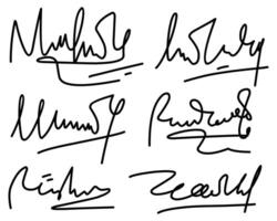 Diverse array of artistic handwritten signatures, ideal for design projects, branding, or personal identification. vector