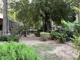 a garden with trees and bushes in the middle of a yard in Lahore on 10-10-2024 photo