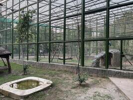 a large cage with a small pool inside in Lahore on 10-10-2024 photo