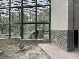 a large building with a large window and a tree in Lahore on 10-10-2024 photo
