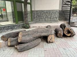 several logs are sitting on the ground outside of a building in Lahore on 10-10-2024 photo