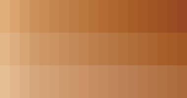 Desaturated Oranges Palette vector