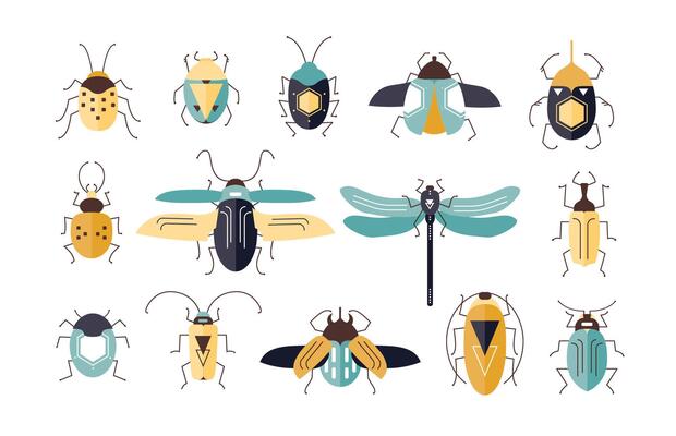 Bundle of different colorful geometric insects with wings and antennas isolated on white background - bugs, beetles, firefly, ladybug, cricket. Cartoon illustration in modern flat style.