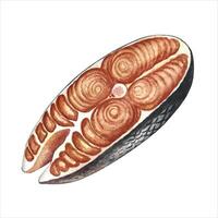 A butchered piece of red fish. A watercolor illustration. Color image of seafood. Separate from the background. Perfect for menus, recipe books, packages, labels, and more. vector