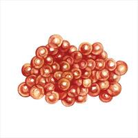 Red caviar. A watercolor illustration. Color image of seafood. Separate from the background. Perfect for menus, recipe books, packages, labels, and more. vector