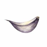 A clove of garlic. A watercolor illustration. An image of a purple vegetable. Highlighted on the background. Perfect for menus, recipe books, packages, labels, and more. vector