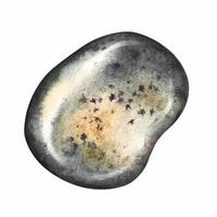 A smooth, speckled sea stone. A watercolor illustration. A color image of the beach element. Separate from the background. Perfect for packaging, labels, postcards, invitations and more. vector
