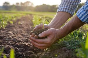 Weathered hands cradle sprout, verdant fields behind evoke nurturing growth photo