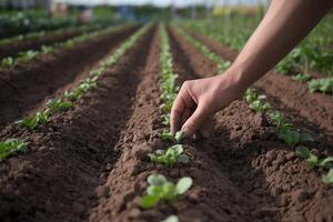 Hand plants seeds in dark soil, capturing growth and care in nature photo