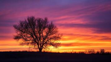Silhouette of Lone Tree at Sunset with Vibrant Purple and Orange Sky photo