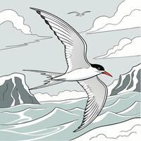 The illustration of arctic tern bird vector
