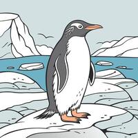 The illustration of gentoo penguin bird vector