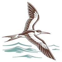 The illustration of skimmer bird vector