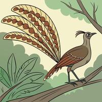 The illustration of lyrebird bird vector