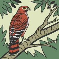The illustration of booby bird vector