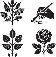 a black and white rose with leaves1 vector