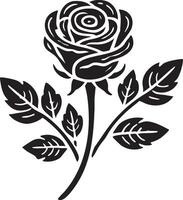 a black and white rose with leaves vector