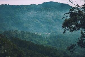 The view with a foggy in the background, Rainforest, Malaysia. Bird's eye view. Aerial view. photo