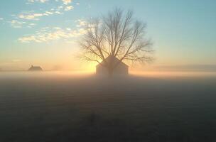 Sunrise Fog Envelops Small Church and Bare Tree photo