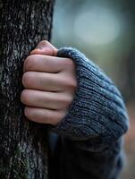 Cozy Closeup of Hand in Woolen Sweater Gripping Tree Trunk in Serene Forest Setting photo
