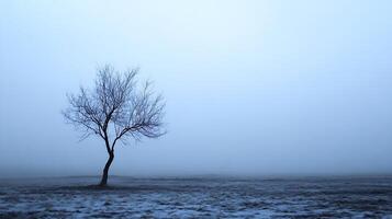 Lonely Bare Tree in Misty Winter Field at Dusk Captivates Minimalist Serenity and Isolation photo