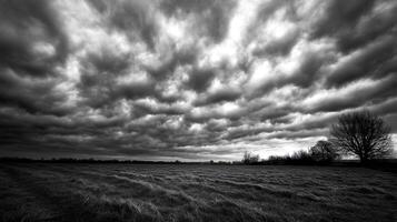 Dramatic Black and White Storm Clouds Over Wide Open Field for Creative and Artistic Background Use photo