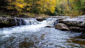 Tranquil Autumn River Scene with Flowing Water and Colorful Forest in Background photo