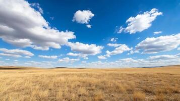 Vast Open Plains Under a Blue Sky with Fluffy Clouds in a Tranquil Natural Landscape photo