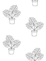 Seamless pattern of outline monstera in pot vector